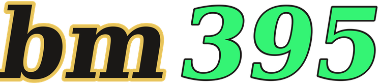 bm395 logo